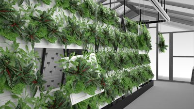 organiponic commercial hydroponic system